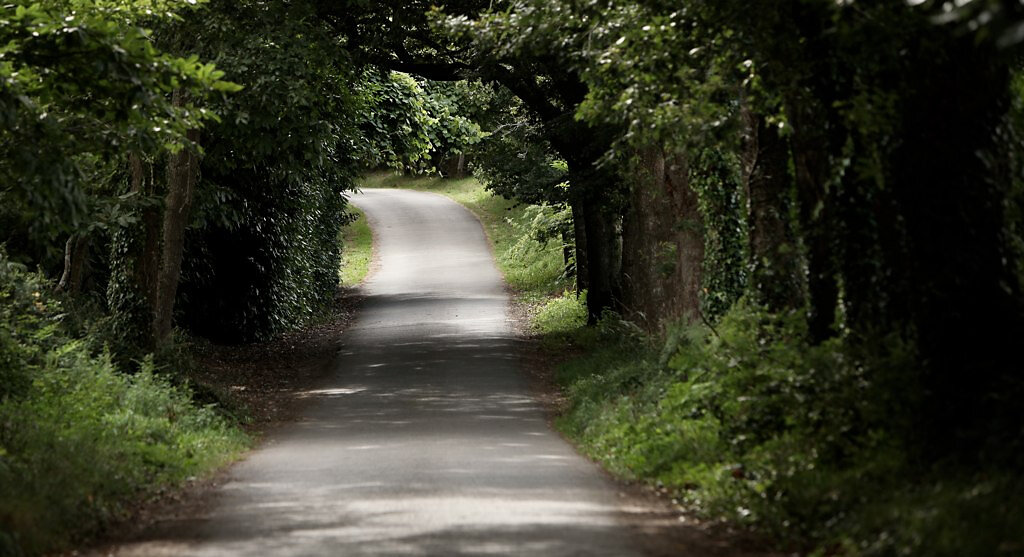 Foret du bois d'amour de Pont-Aven