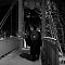20091220-img-8648-4203242380-o.jpg